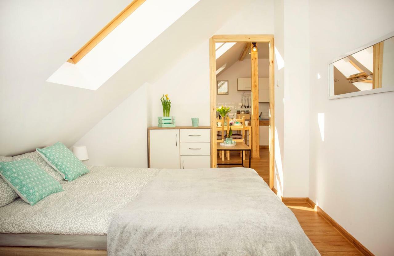 Apartament W Rynku Ustrzyki Dolne Eksteriør billede